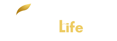 My Store